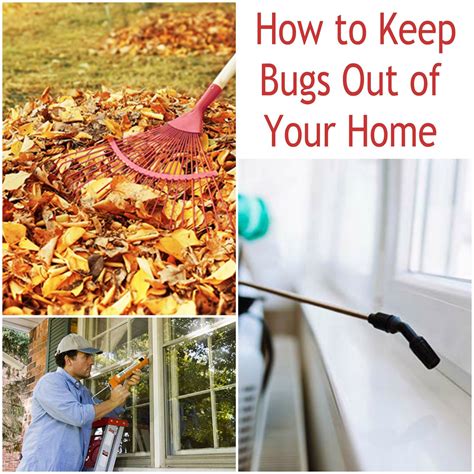 Prevent Insects From Getting Into Your Home This Fall And Winter With