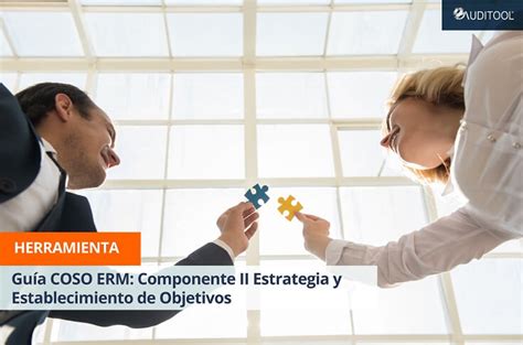 Guía COSO ERM Componente II Estrategia y Establecimiento de Objetivos