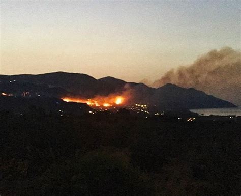 Sicilia Nella Morsa Degli Incendi Inferno A Monreale E Nel Trapanese