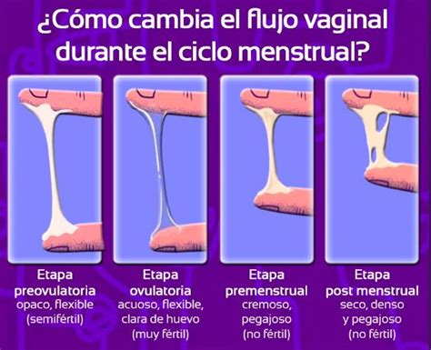 Clínica Salud Femenina En Guatemala Clínica Especializada En La Salud