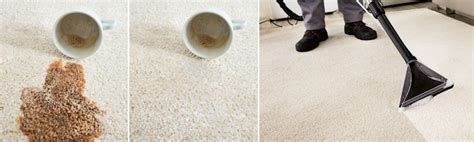 How To Remove Stubborn Stains From Carpet Tipps And Tricks Hagerty