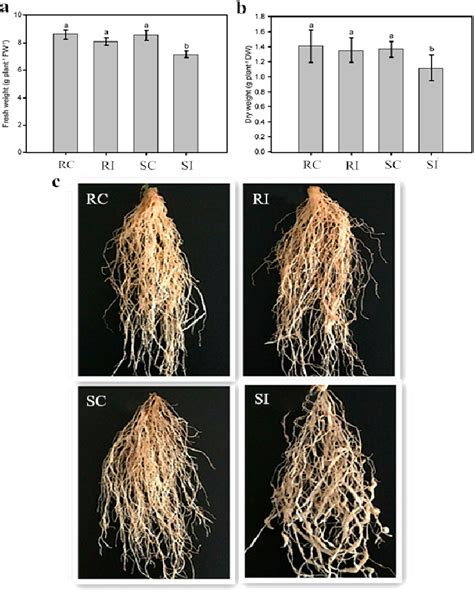 Figure From Comparative Transcriptome Profiling Reveals Defense