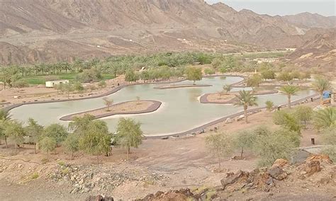 Suhaila Lake Rest Area in Hatta - LinotechLinotech