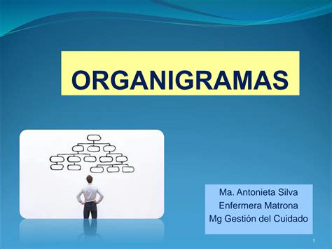 SOLUTION Organigramas Studypool