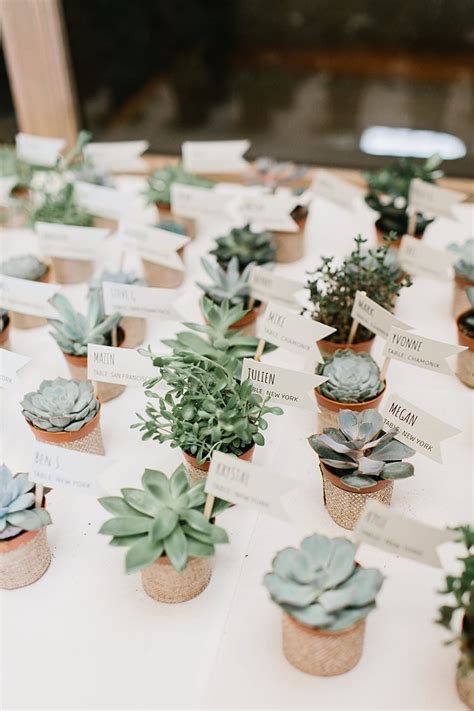 6 Ideas For Green Sustainable Wedding Favours