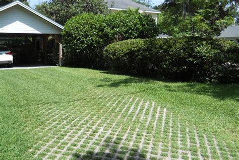 This Green Driveway Was Made With Paver Blocks That Allow Grass To