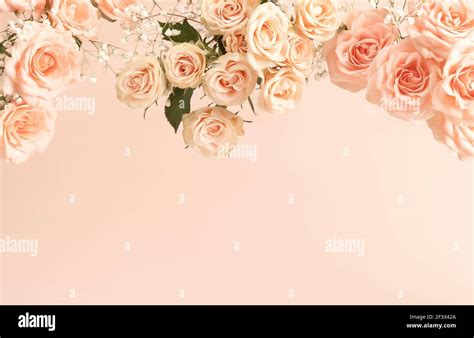 peach wedding background