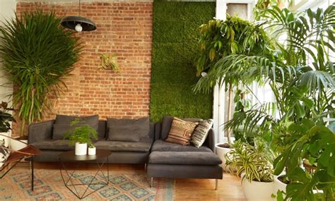 8 air filtering plants that will boost your productivity – Artofit