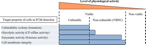 Detection Of Glycolytically Active Lacticaseibacillus Paracasei Strain