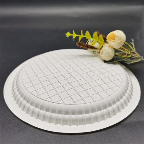 Disposable Biodegradable Cornstarch Plate China In Compostable