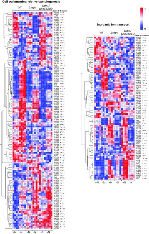 Figure S4 Hierarchical Clustering Heat Maps Of Relative Expression Download Scientific Diagram