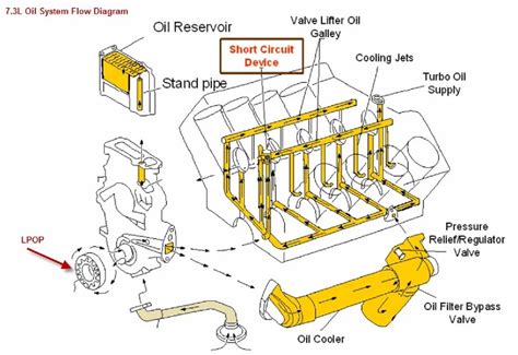 Engine Oil Path Of Flow After Draining Down Below The Check Ball From The Hpop Reservoir Ford