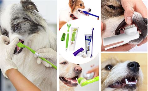 Dentifrice Et Brosse Dents Pour Chien Kit De Soins Dentaires Pour