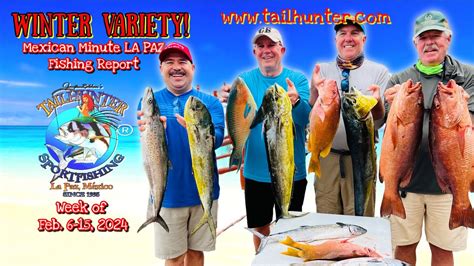 Mexican Minute La Paz Fishing Report From Tailhunter Sportfishing For