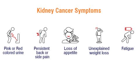 Kidney Cancer: Recognize Signs, Stages, and Treatment Options