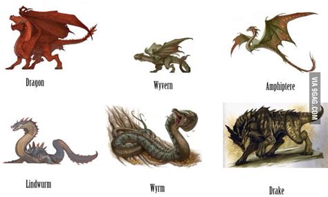 Different types of dragon - 9GAG