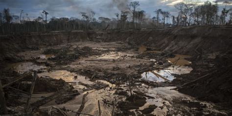 Mineração na Amazônia Tudo o que você precisa saber sobre a Renca