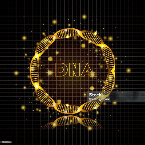 Dna 분자 원형 황금 구조 Dna에 대한 스톡 벡터 아트 및 기타 이미지 Dna 개념 건강관리와 의술 Istock