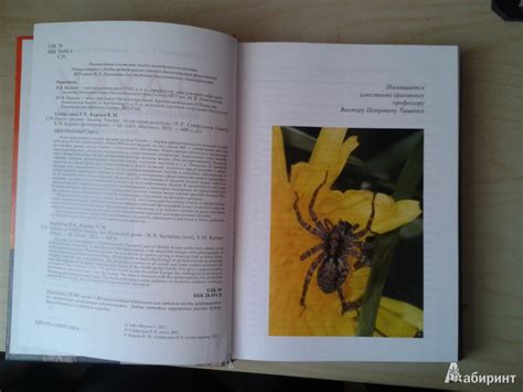 Книга: Пауки средней полосы России. Атлас - определитель с обзором ...