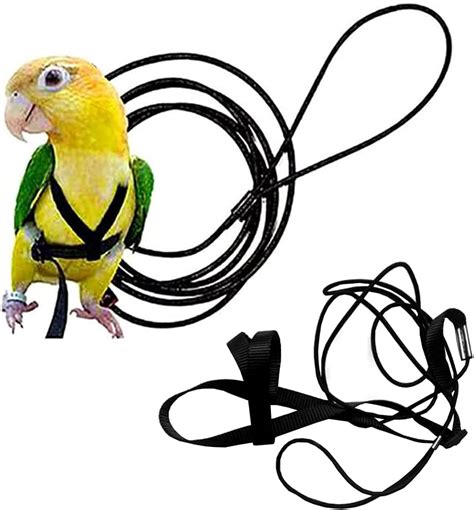 Amazon Anelekor Adjustable Birds Harness And Leash Parrot Harness