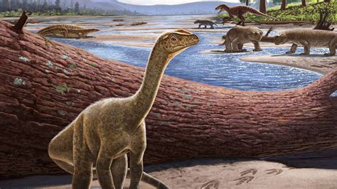 This Is Mbiresaurus Raathi A Newly Discovered Dinosaur And Africas