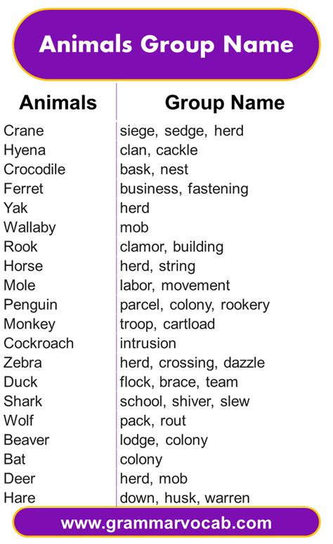 Animals Group Name: Animals Vocabulary | PDF - GrammarVocab