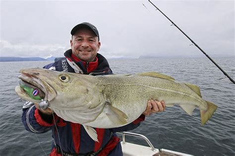 Tripadvisor Visita guiada de pesca privada en Skarsvåg por el Cabo