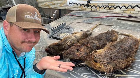 Hunting INVASIVE SPECIES ( Hunting NUTRIA in Southeast Louisiana ...