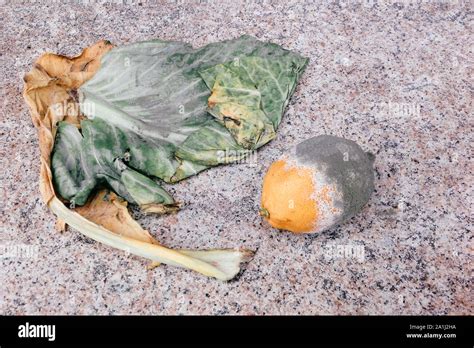 Rotten Lemon Green Onion And Cabbage On The Grey Table Still Life