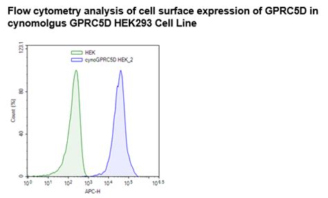 GPRC5D Cynomolgus HEK293 Cell Line BPS Bioscience Biomol