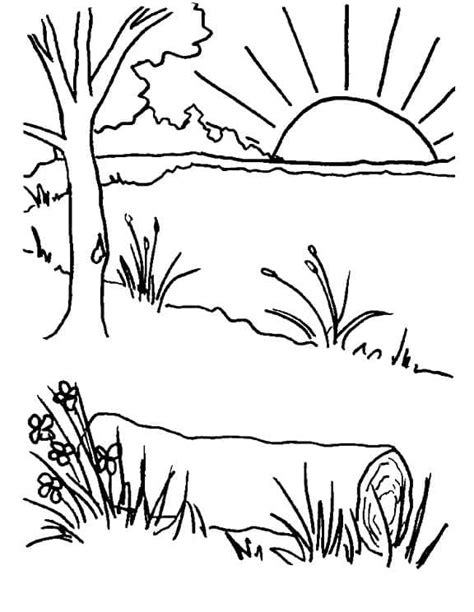 Desenhos De Lago Para Colorir Pintar E Imprimir ColorirOnline