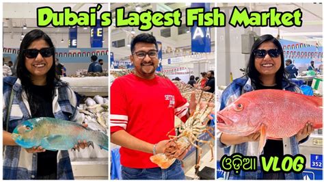 ଦୁବାଇ ର ସବୁଠୁ ବଡ ମାଛ ମାର୍କେଟ Largest Fish Market In Dubai