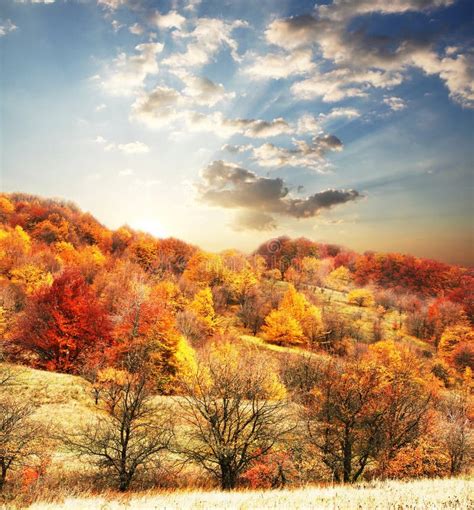 De Kleuren En Het Landschap Van De Herfst Stock Foto Image Of