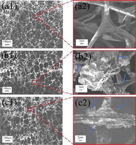 The SEM Images Of A1 And A2 Pure Sponge Without Any Filler B1