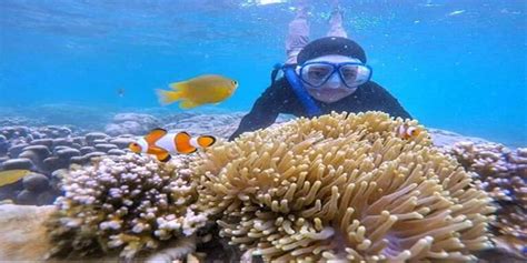 Snorkeling di Pulau Seribu, Menjelajahi Keajaiban Bawah Laut | Kep Seribu