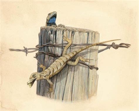 An Illustration Of A Lizard On Top Of A Fence Post