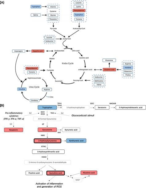 Metabolic Pathway Associations Of Significantly Different Metabolites Download Scientific