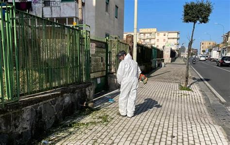 Torre Del Greco Piano Del Diserbo Divieto Di Sosta In Varie Strade