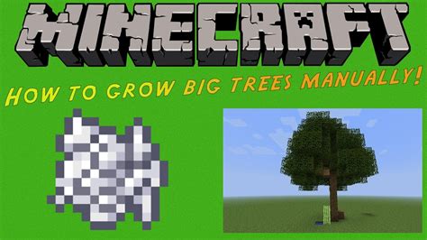 How To Manually Grow Big Trees In Minecraft 18 Youtube