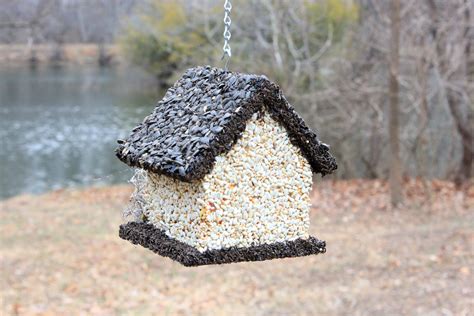 Edible Bird Feeder Dark Roof Short Birdhouse Ediblebirdhouses