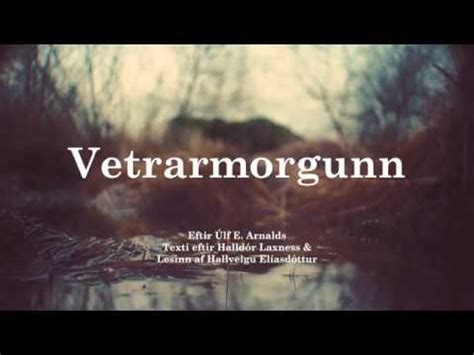 Vetrarmorgunn 2020 Icelandic Video Art YouTube