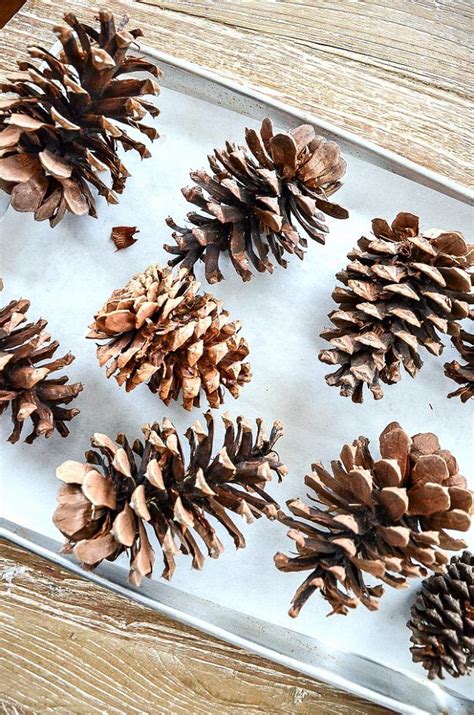 How To Make Scented Pinecones Artofit