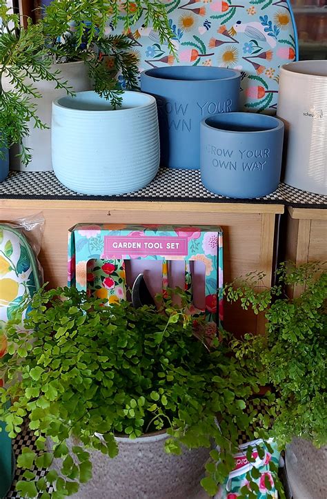 pots  springvale garden centre hervey bay