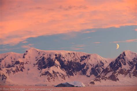 Antarctica Photos Photos By Ron Niebrugge