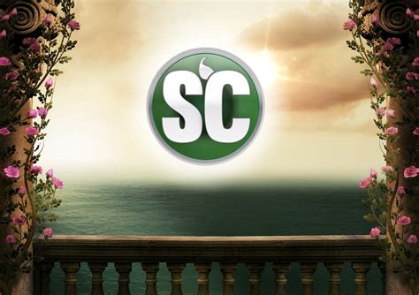 Sc Liquid Alle Aromen G Nstig Online Kaufen Im Tabakstore