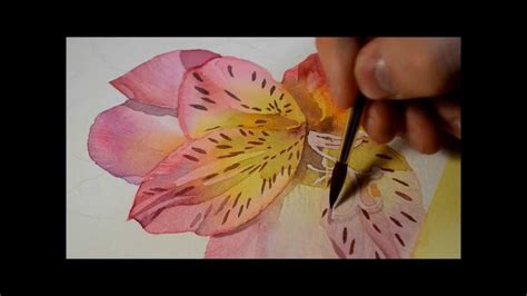 Alstroemeria Flower Part Watercolor By Krzysztof Kowalski