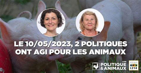 Le Conseil Municipal De Strasbourg Adopte Un Plan D Actions Animaux En