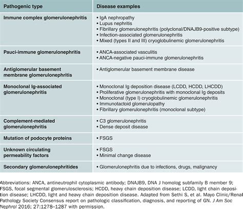 Kdigo Quo Vadis Updating Guidance For The Management And Treatment Of