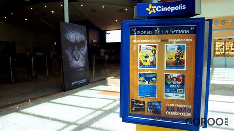 Top 60 Imagen Cinepolis Playas De Tijuana Cartelera Y Horarios