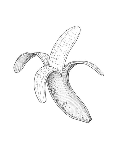 How To Draw A Peeled Banana Step By Step Banana Poster